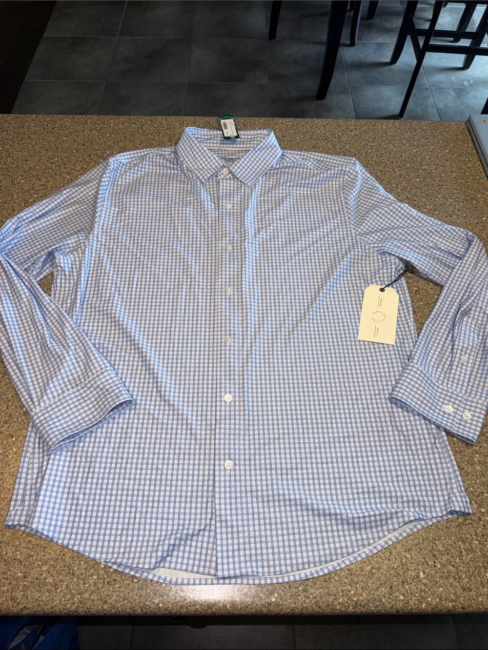 Hawker Rye Men's Light Blue Gingham Dress Shirt - Button-Down Collar